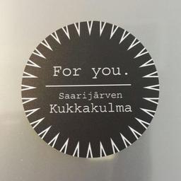 Niina Rautiainen