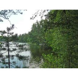 Lihasulan säätiö