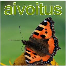 Aivovammaliitto lapset ja nuoret Tiina Säynäjoki